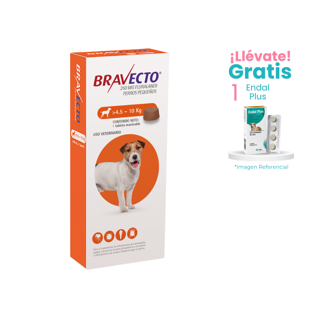 BRAVECTO-4-A-10