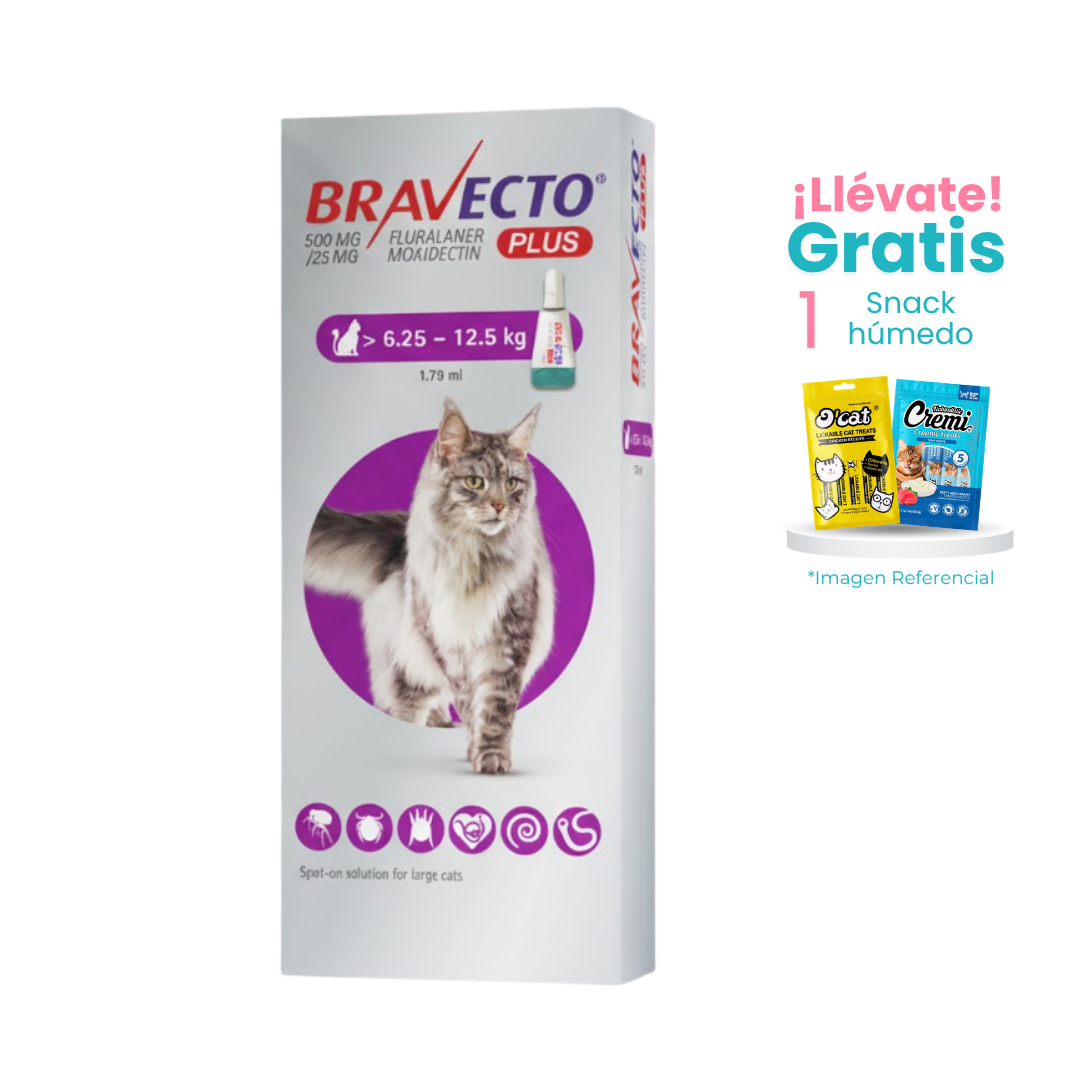 BRAVECTO-6-A-12