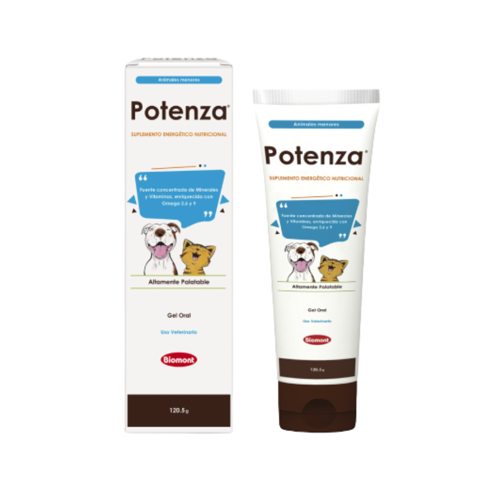 potenza gato y perro