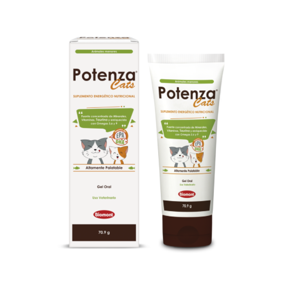 Potenza gatos