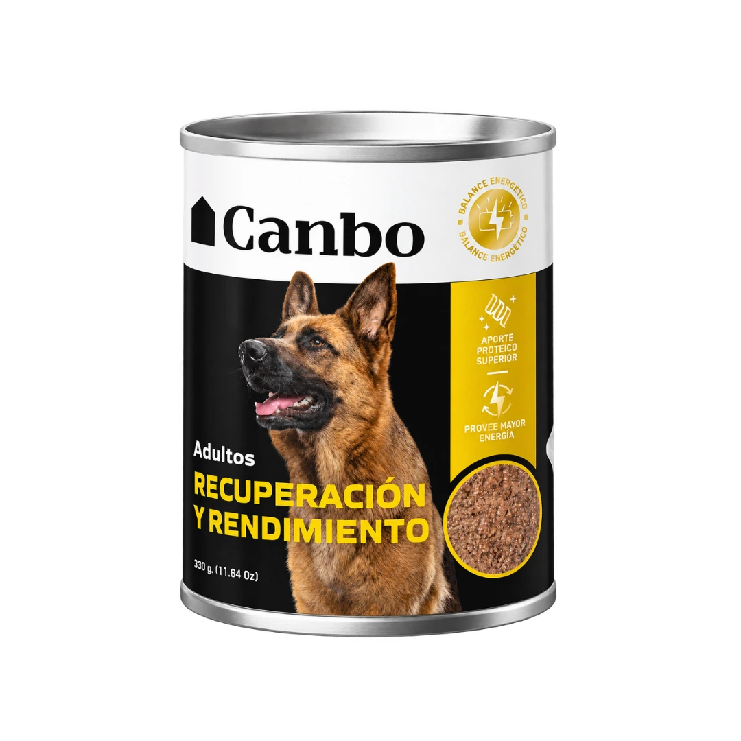 Canbo recuperacion y rendimiento